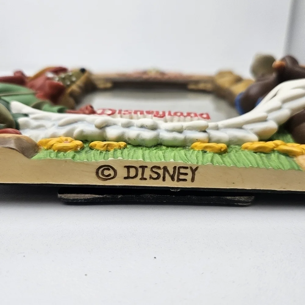 Rare splash Mountain picture frame